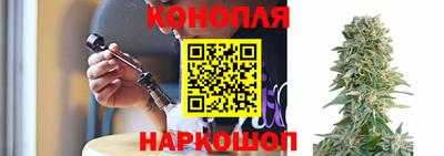прущие крисы Новозыбков