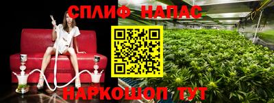 амфетамин Новодвинск