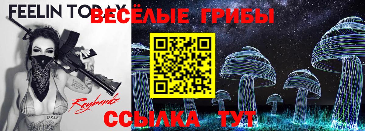 Псилоцибиновые грибы ЛСД Рузаевка